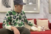 【40代から始める日本人の中国生活の記録】中国で猫と暮らすということ