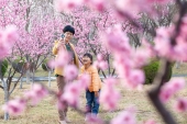 【40代から始める日本人の中国生活の記録】花を愛する中国の人々.jpg