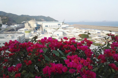 大亜湾原子力発電所
