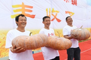中国農民豊作節　多彩なイベントで収穫を祝う.jpg