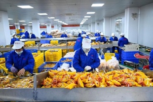 広西チワン族自治区柳州市　袋入りタニシ麺の販売額が100億元を突破.jpg