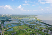 合肥など中国7都市が国際湿地都市に指定