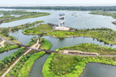中国が「湿地保護計画」発表　30の湿地保全・修復プロジェクト実施へ