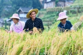 数多くの農民により幸せな生活をもたらす中国の農村振興