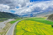 平和解放７０年、グリーン産業が勢いよく発展するチベット