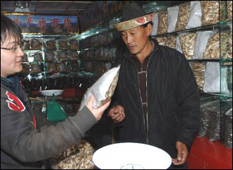 チベットで開催された第9期政治協商会議第2回会議によると、チベットのこれまでの農牧業を現代的なものに変えていくため、今年、チベット政府は5億元を投入して特色ある農牧業を発展させていく方針を打ち出した。 