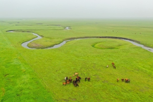＜動画＞緑化が進む内蒙古自治区で中国の生態文明と小康社会の実態に迫る！